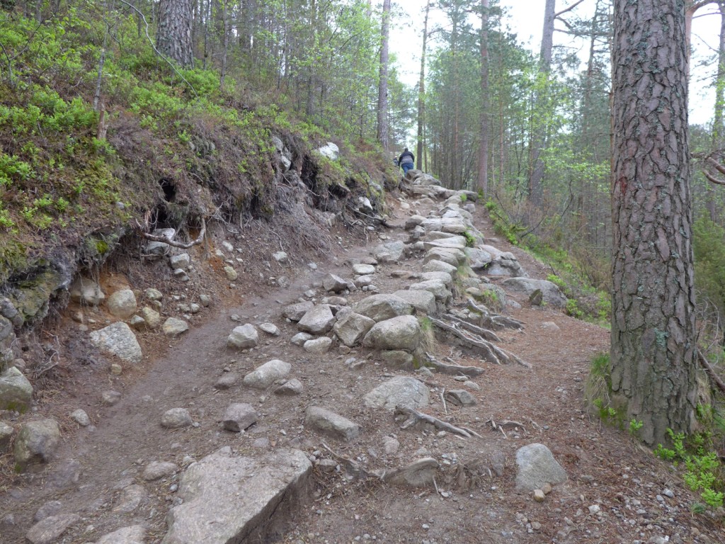 P1030293